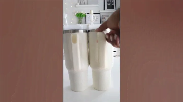 Temu vs Stanley: Tumblers